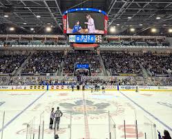 Toronto Sceptres fans press for team branding at Coca-Cola Coliseum