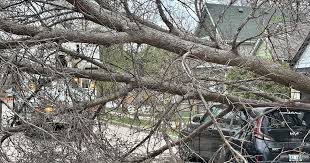 High winds and dust leave damage, outages across southern Manitoba
