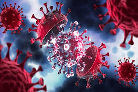 Why MV Hondius hantavirus tracing is not a COVID-style alert