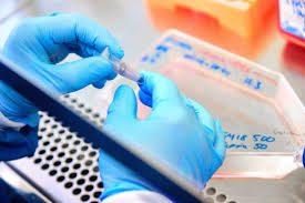 سقوط سهام Zealand Pharma؛ داده‌های ایمنی امیدها برای دارو را تضعیف کردند