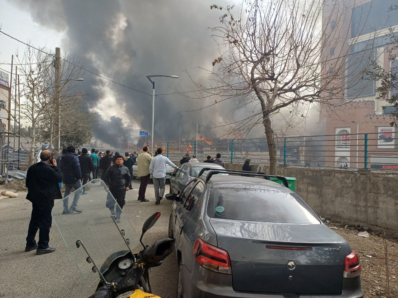 photo_2026-02-03 22.22.53.jpeg